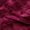 Rose vif